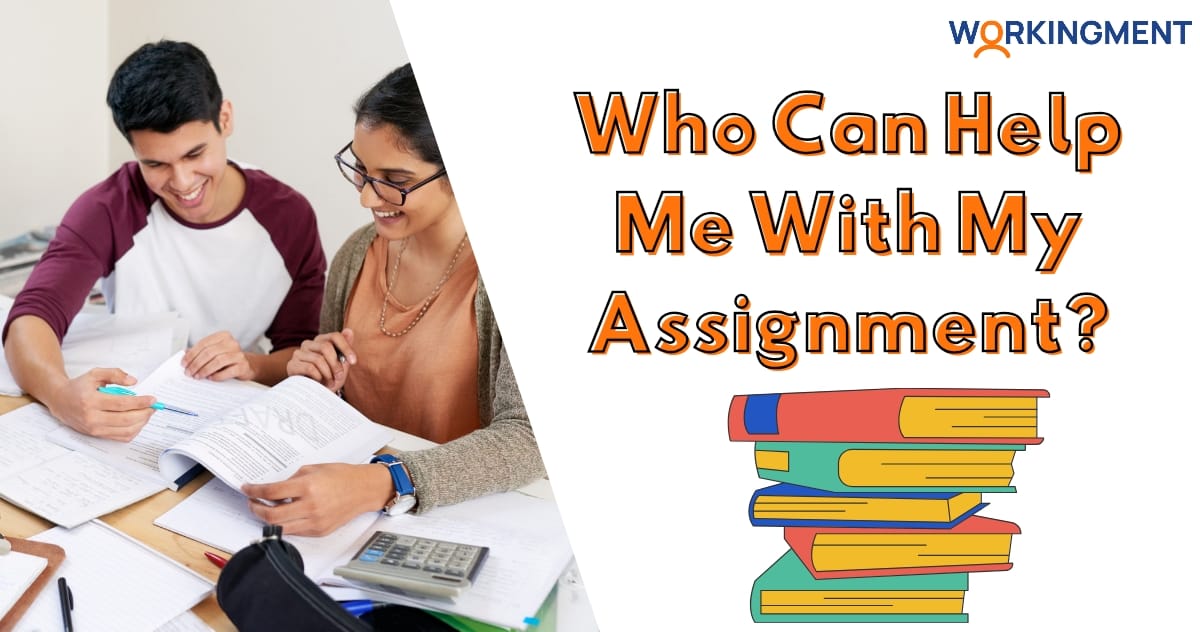 Who Can Help Me With My Assignment? Best Assignment Help Website